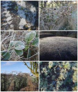 frosty-walk-co-antrim-northern-ireland-textures-countryside