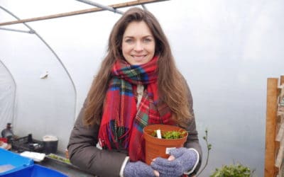 What I’m growing in April-Garden and Polytunnel Updates