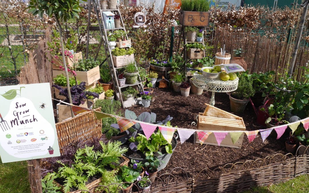 thrifty-cottage-garden-urban-garden-ideas-herbs-boxes