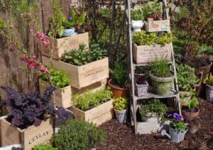 tiny-garden-ideas-wine-boxes-thrifty