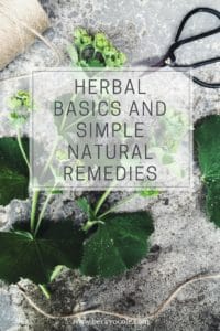 herbalism basics simple natural remedies ladys mantle