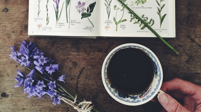 Nature’s Guide to April-Seasonal Food, Slow Living and Nature