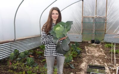 I’m on Radio 2! Three Easy to Grow Vegetables