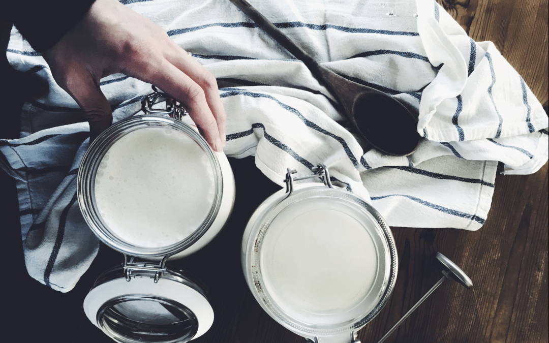 how to make yoghurt home homemade yoghurt lactose free homesteading