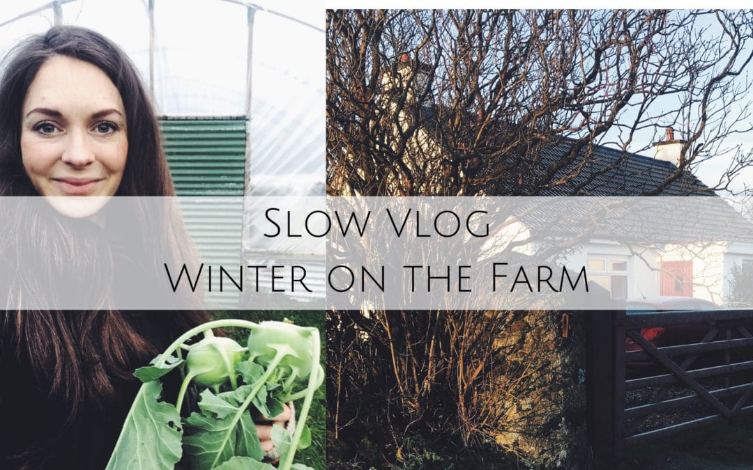 Winter’s Day on the Farm-Slow Living Vlog