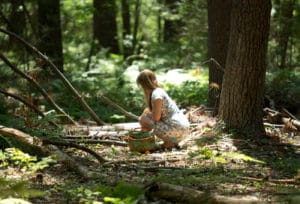 Introductory Herbal Course by Herbal Academy – foraged