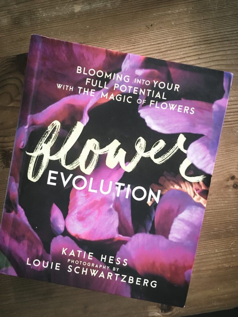 Review Flower Evolution Katie Hess