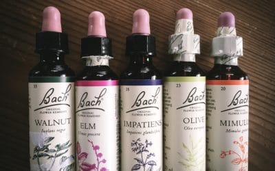 Exploring Flower Essences & Review of Flower Evolution by Katie Hess
