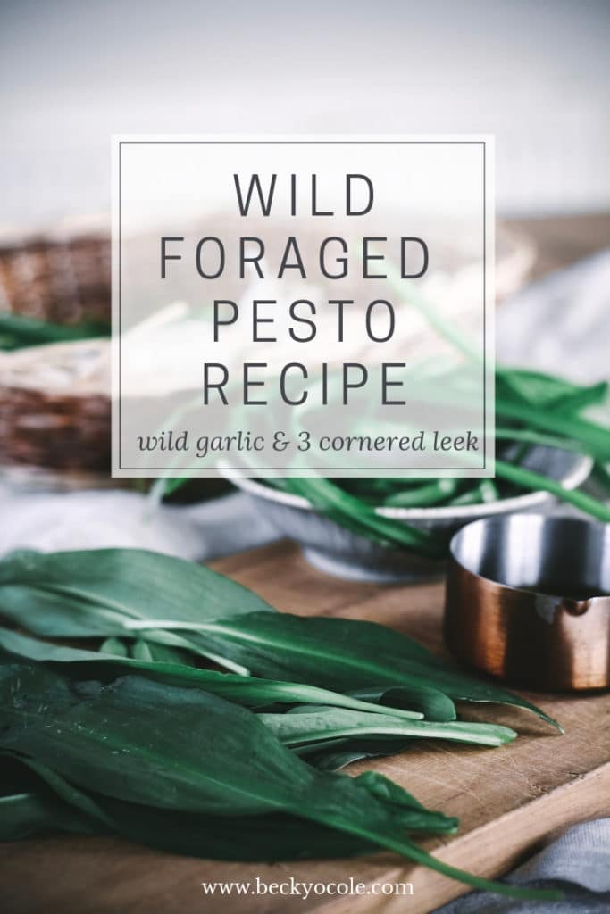 wild garlic pesto foraged pesto recipes