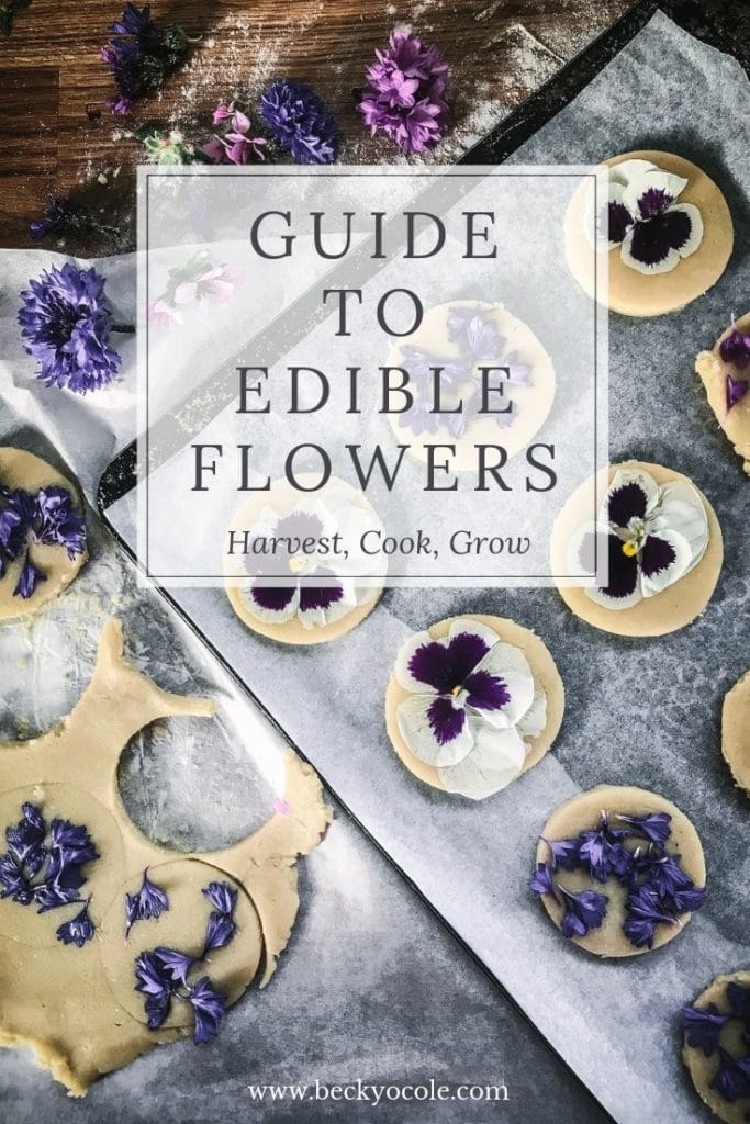 ultimate guide edible flowers