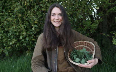 Nettles-How to forage nettles and use them in the kitchen