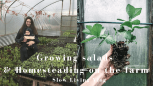 growing salads and homesteading on farm