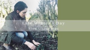 late winters day slow living vlog
