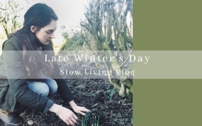 Life on the Farm-Late Winter’s Day VLOG