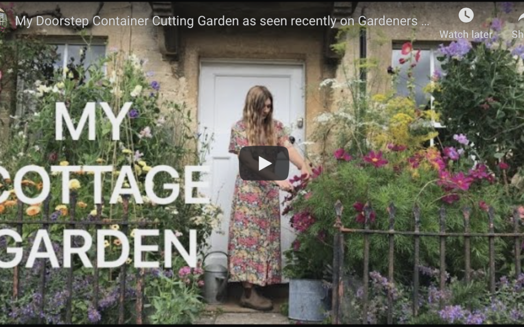 Creating a Cut Flower Container Garden
