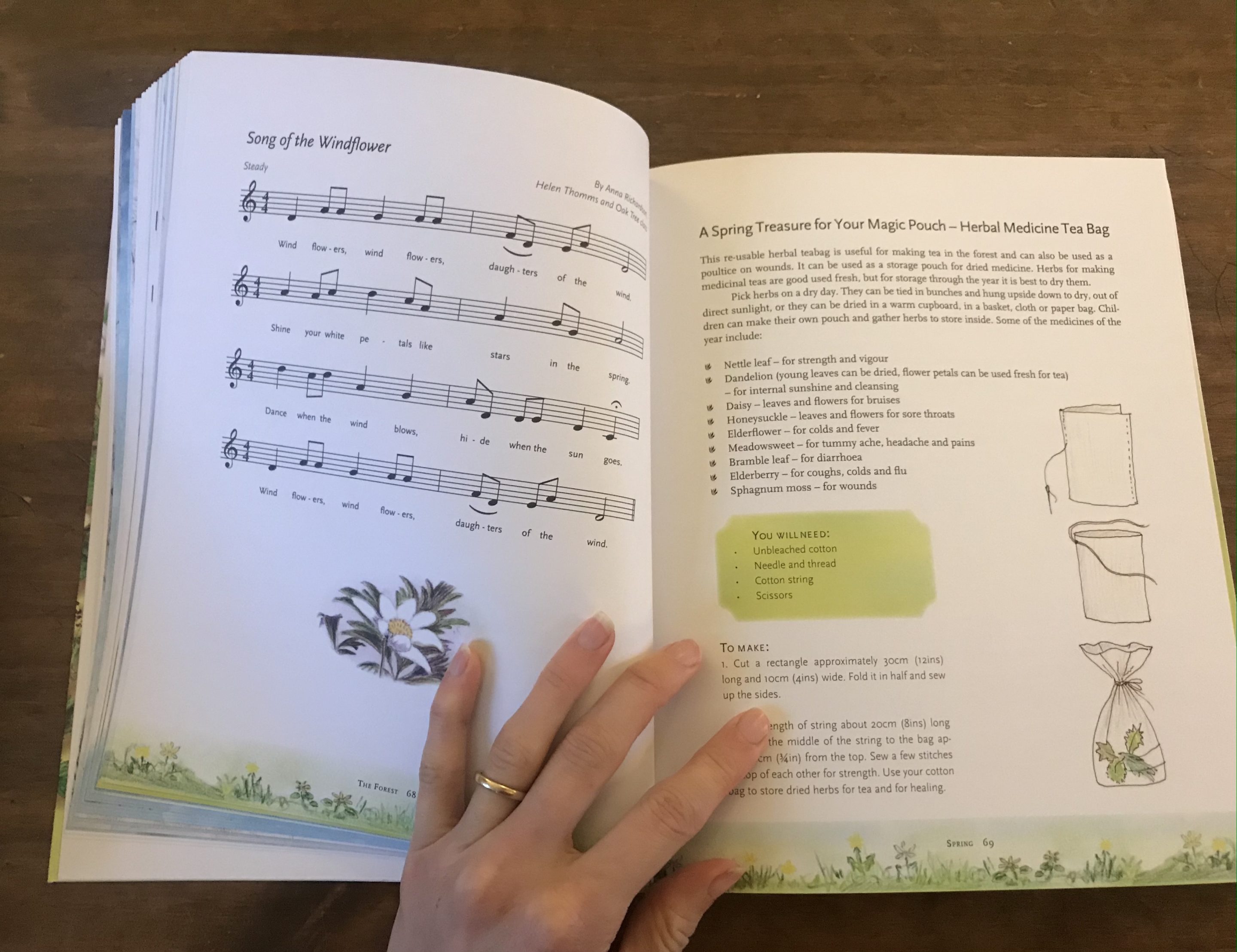 childrens forest book review4
