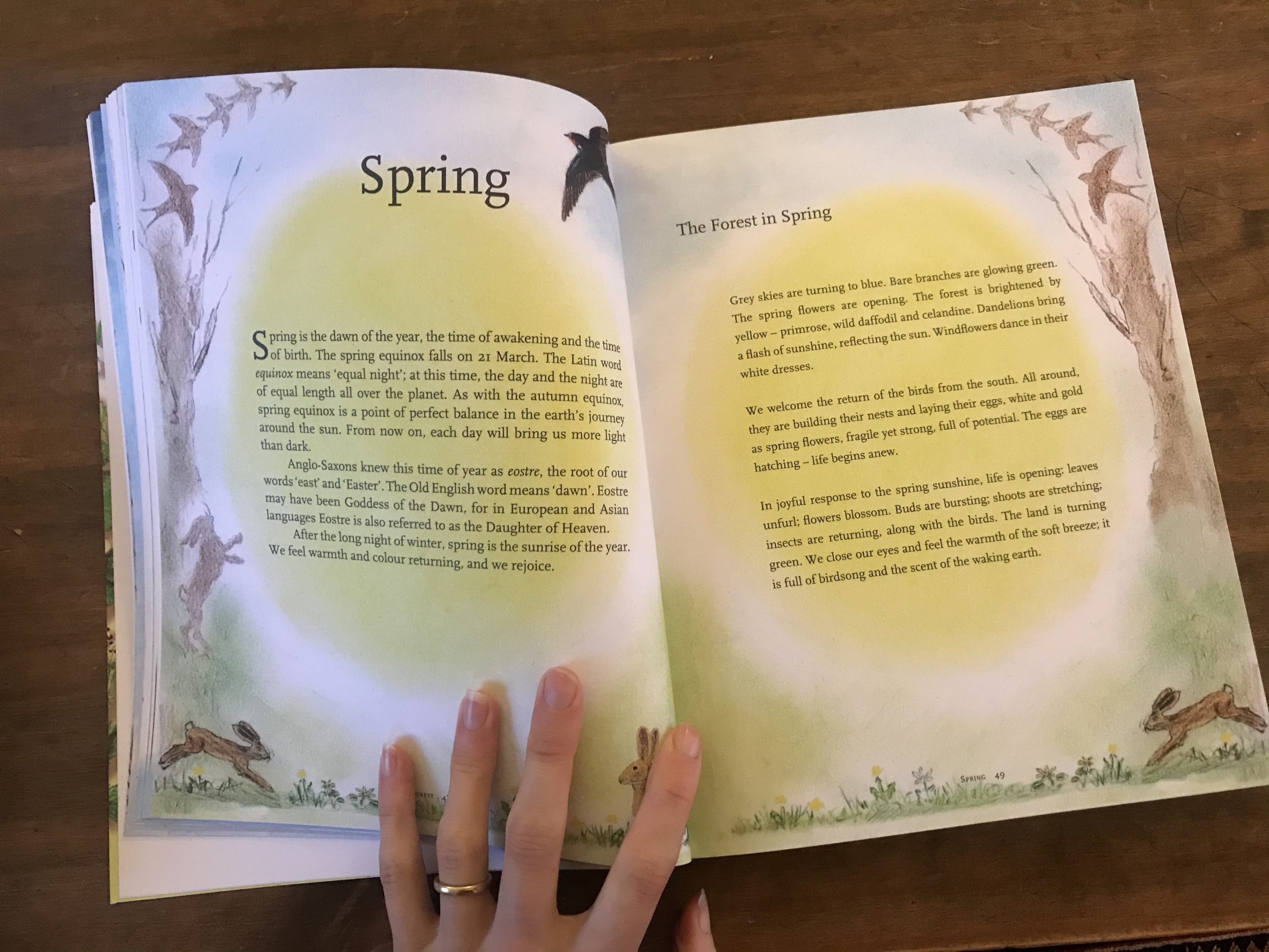 childrens forest book review6