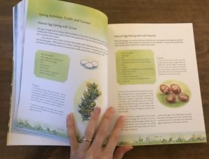 childrens forest book review9