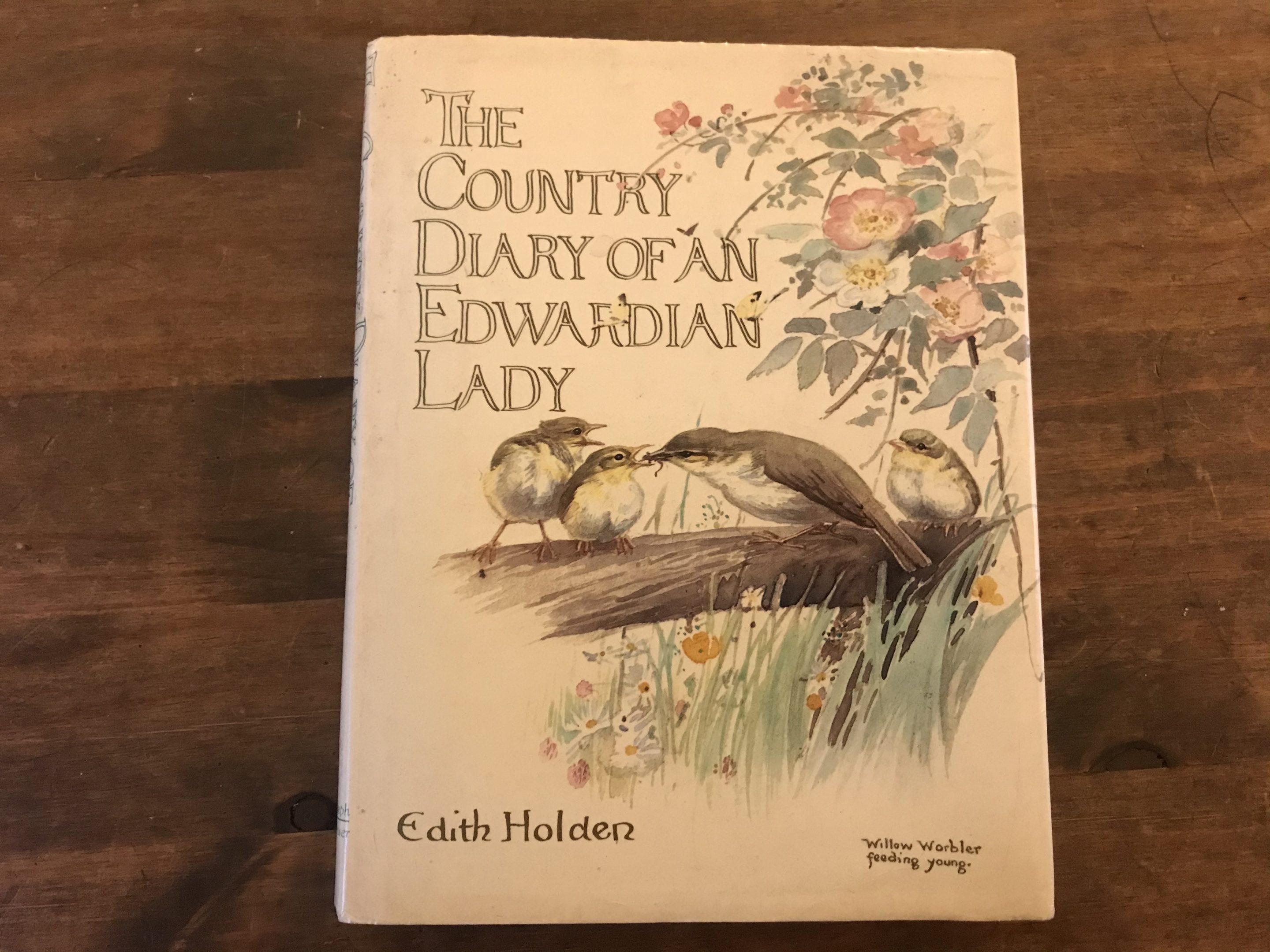 country diary of an edwardian lady book review