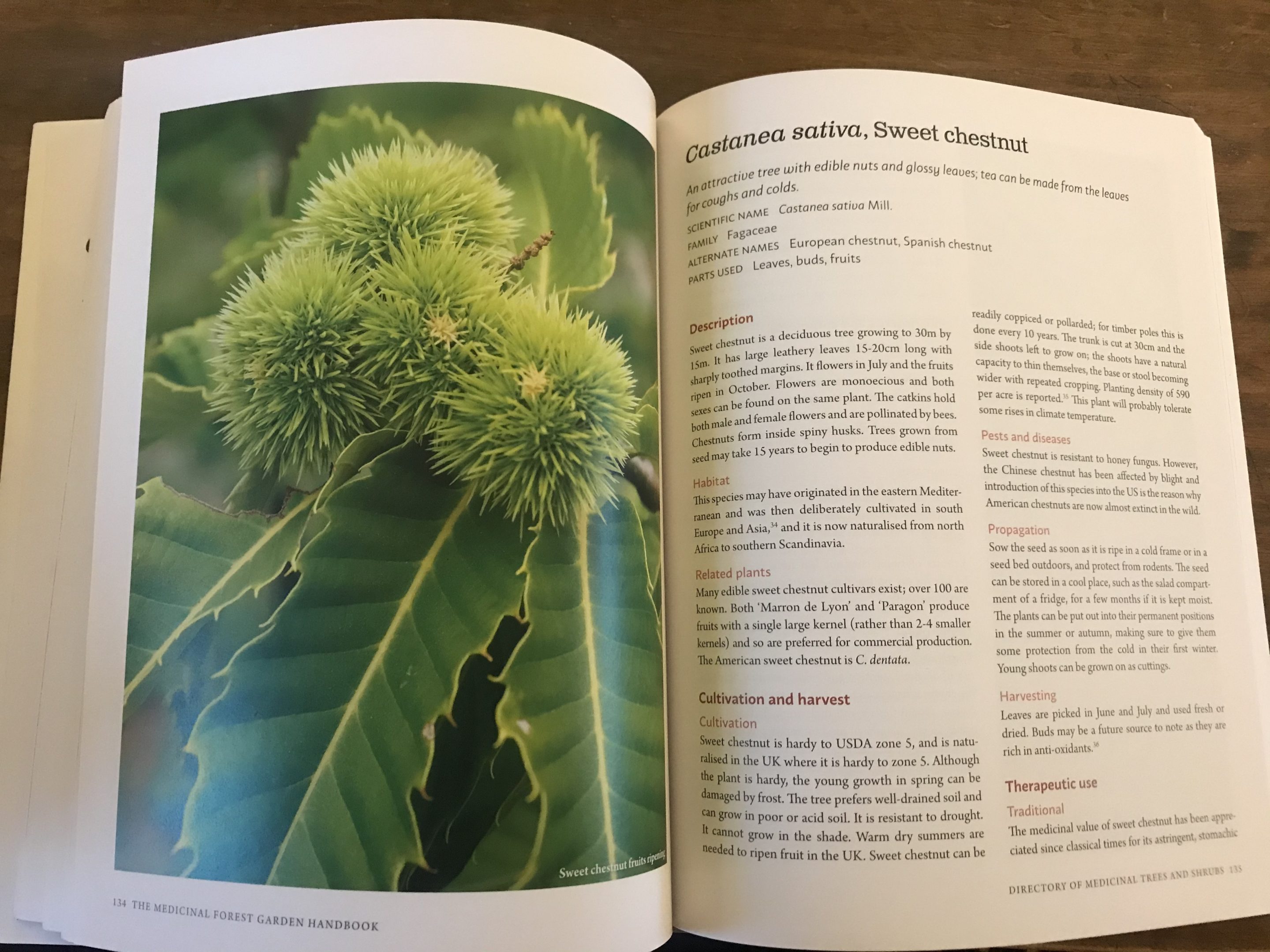 medicinal forest garden handbook anne stobart review 4