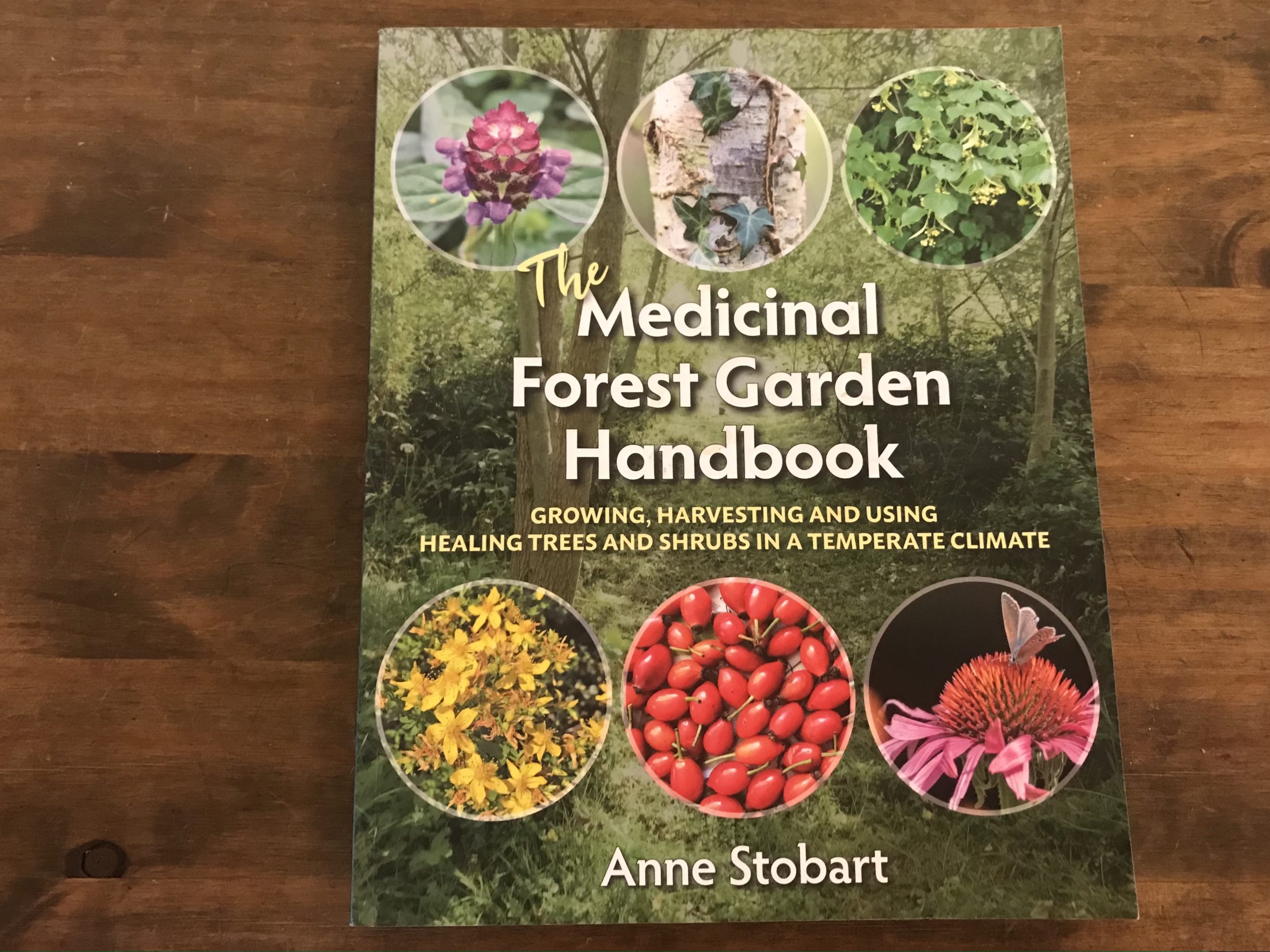 medicinal forest garden handbook anne stobart review