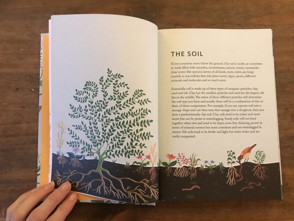 rewild your garden frances tophill book review 2