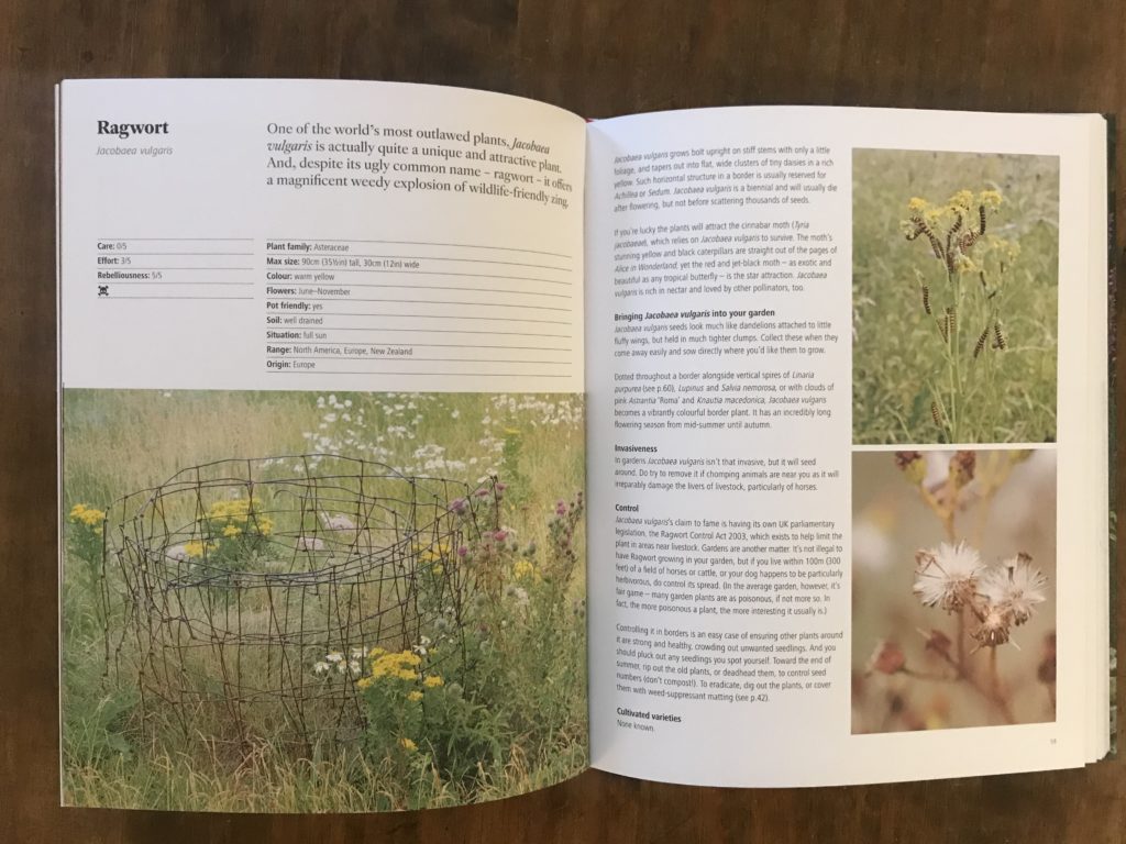 wild about weeds jack wallington review gardening booksn2