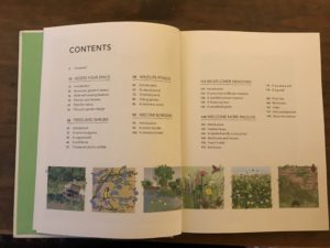 wild your garden butterfly brothers book review. 3