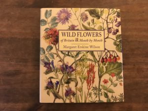 wildflowers margaret erskine wilson review