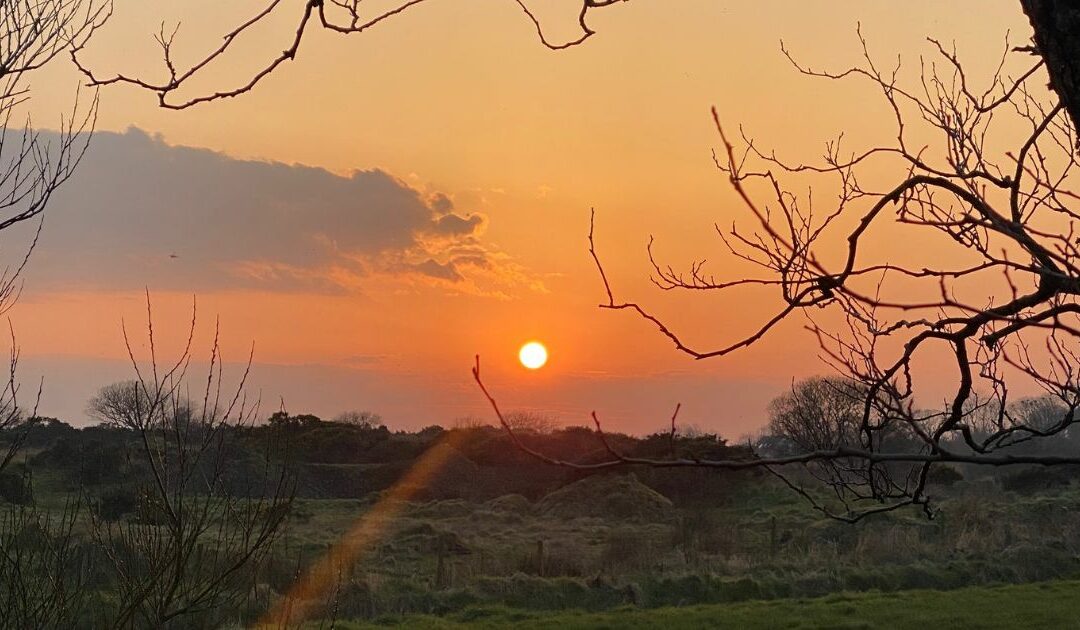 Nature Connection-Sunrise & Sunset