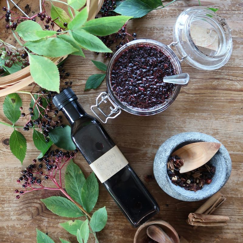 how to make perfect elderberry syrup, elderberry elixir oxymel tea