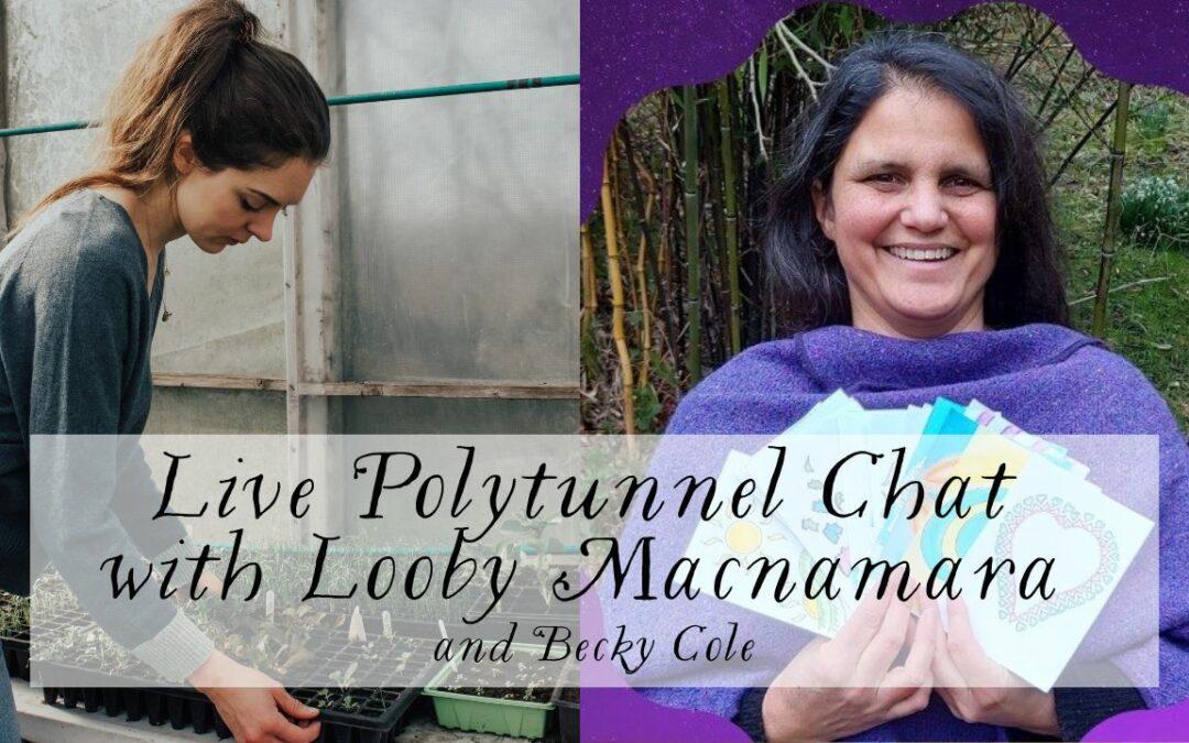 A Live Chat with Looby Macnamara