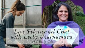 looby macnamara permaculture, cultural emergence