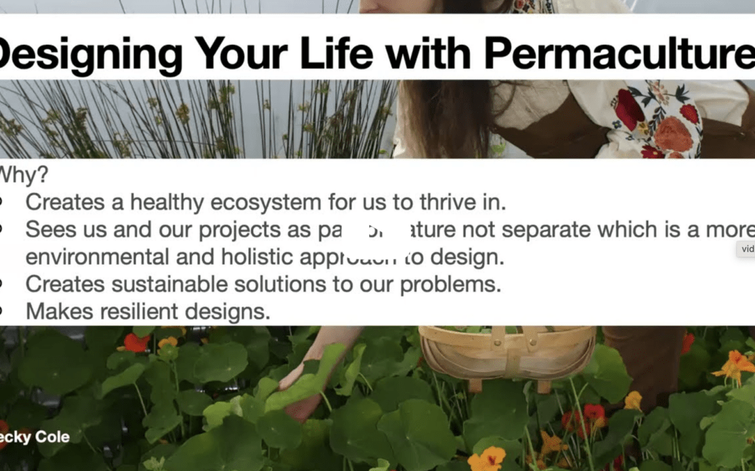 permacultural planning self personal life planning holistic year planning